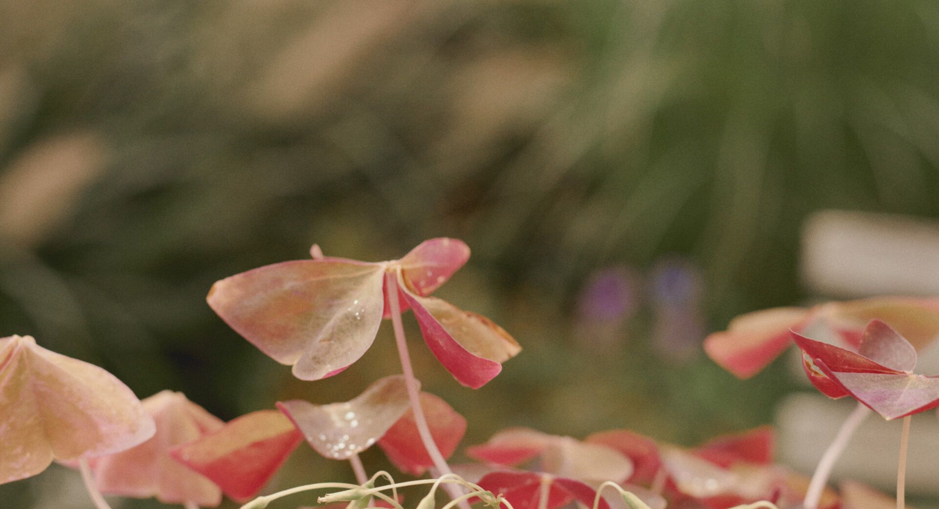 Extra 10% Off Winter Sale